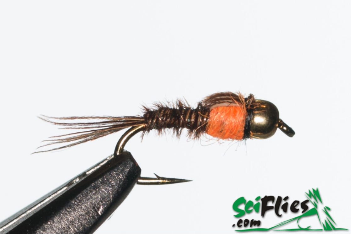 PTN Hot Spot Orange (Gold Bead)