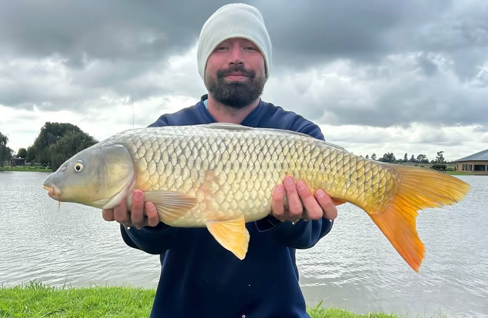 Winter Carp Success in South Africa with PVA Bags, Pellets & Wafters