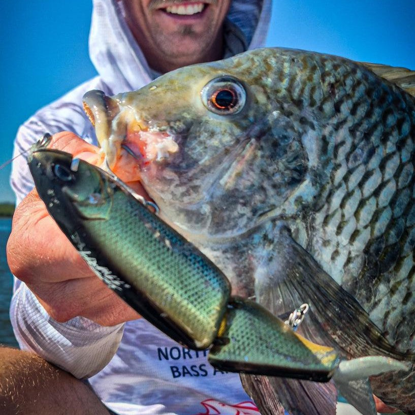 Glides & Swimbaits