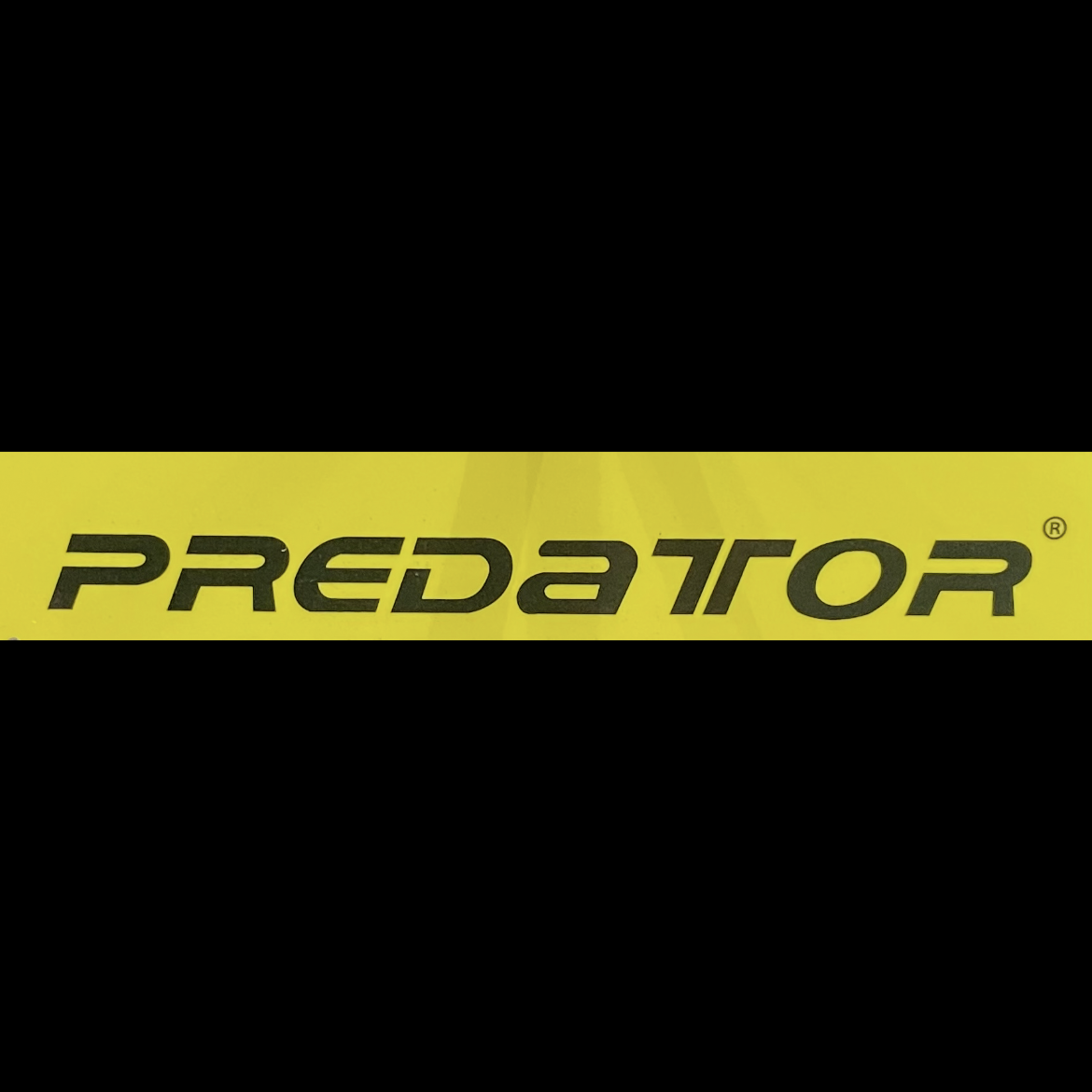 Predator