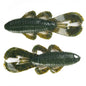 Googan Squad Bandito Bug 4"