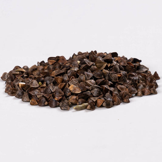 Lunker Buckwheat