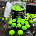 Fish Clinic Pop Ups
