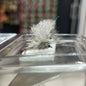 Hares Ear Parachute