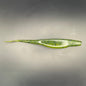 Bass Hunter Flook II 5"