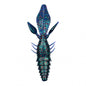 6th Sense Prawn 4.2"