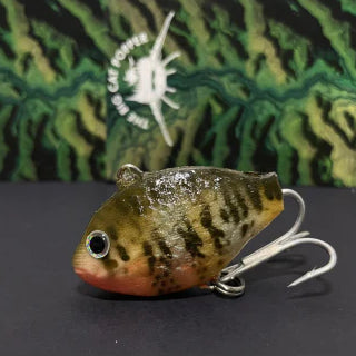 Big Cat Popper Pumpkin Seeds
