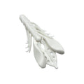 Reaction Stretch Craw Daddy