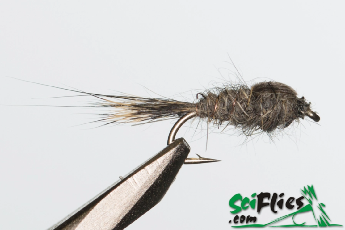 Gold Ribbed Hares Ear (Gold Bead) Natural