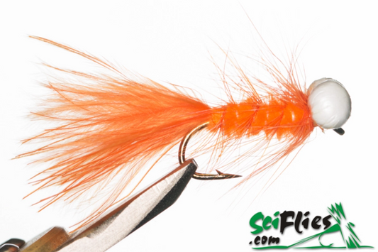 Booby Orange