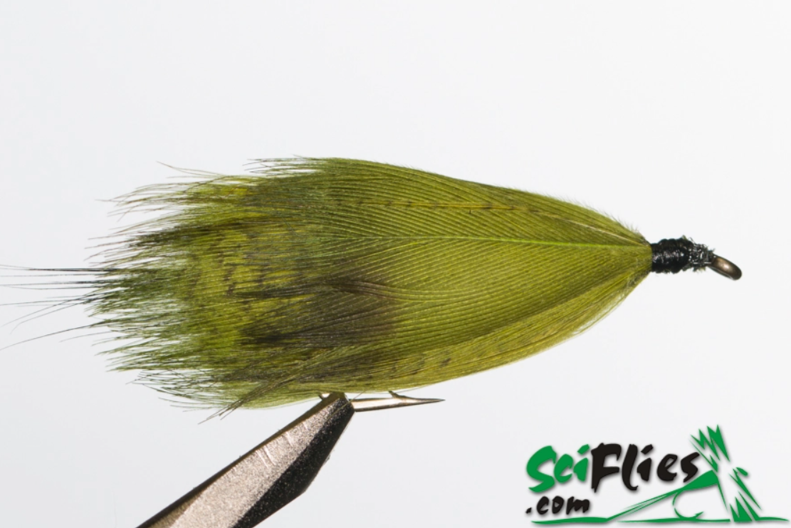 Hamills Killer Olive