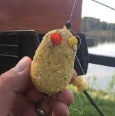 Monster Carp Papgooi Traces